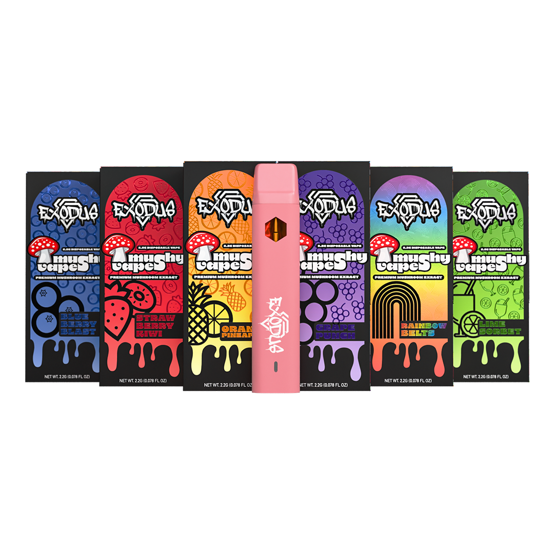 are flavored vapes legal in georgia US Supreme Court rejects ruling against FDA on flavored vape ban